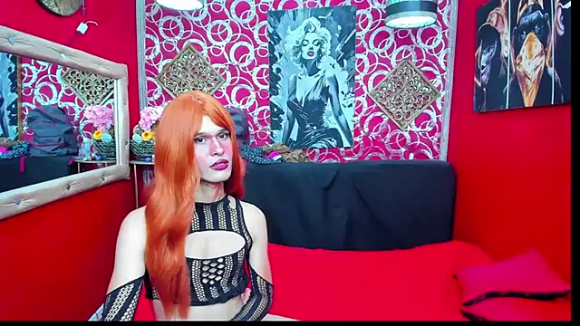 Show Webcam de shannentrans