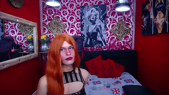 Show Webcam de shannentrans