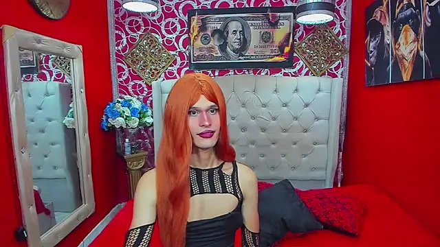 Show Webcam de shannentrans