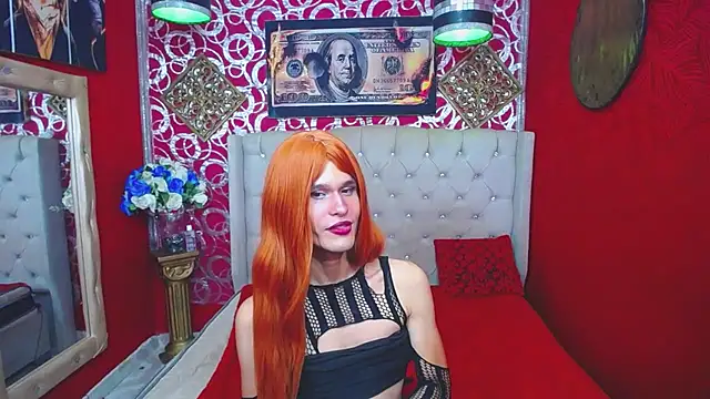 shannentransn Webbikameraesitys