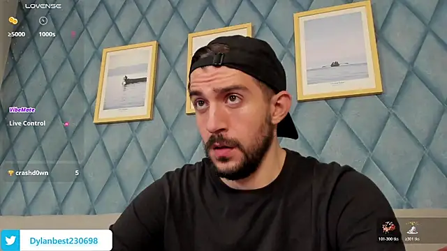 Dylan_Best Show Webcam
