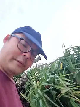 Japanesemaskn Webbikameraesitys
