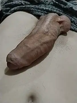 Show de webcam de Thiaaago157