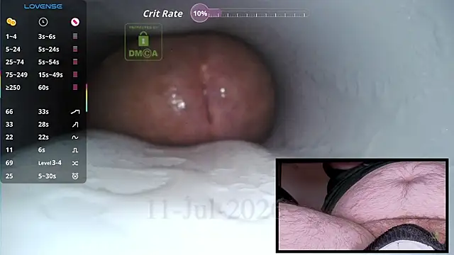 Pertunjukan Kamera Web controlmytoys