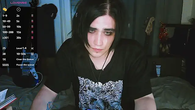 Show webcam de sademobeer