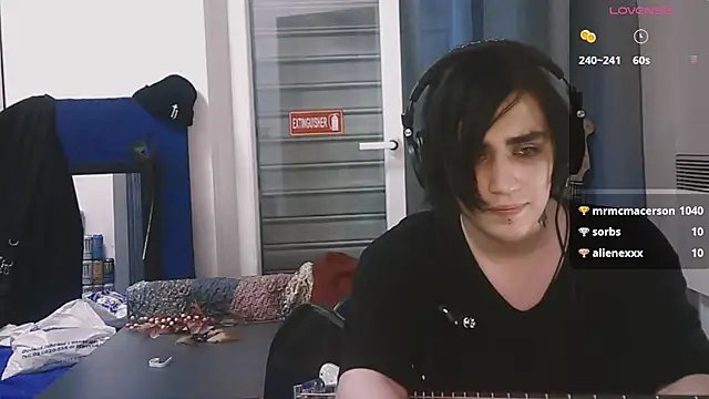 Show webcam de sademobeer