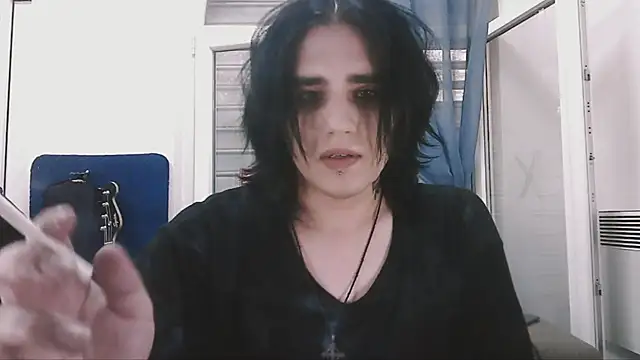 Show Webcam de sademobeer