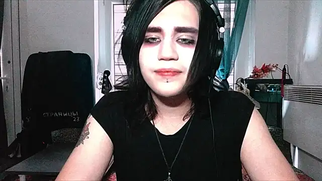 Show webcam de sademobeer