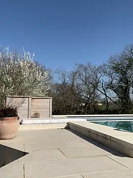 Pertunjukan Kamera Web Kbimpakt