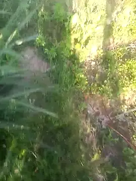 Webkamerová show FinableKnee