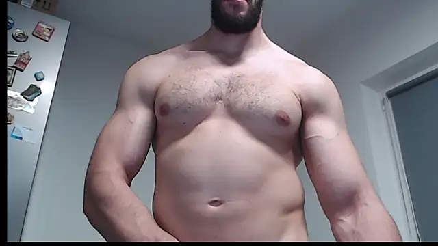 hiddenf Show in webcam