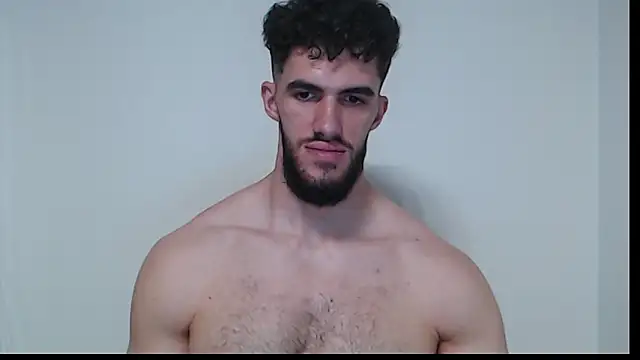 Show modela hiddenf na web-kameri