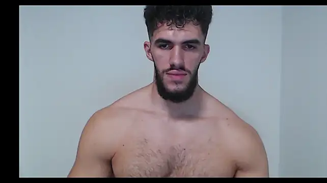 Show modela hiddenf na web-kameri
