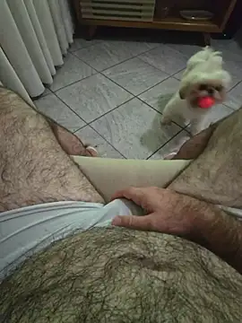 Show de webcam de MysterBearMG