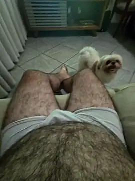 Show de MysterBearMG na webcam
