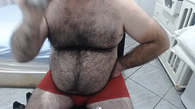 Show Webcam de MysterBearMG