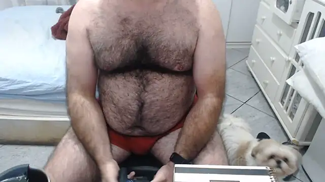 Show de MysterBearMG na webcam