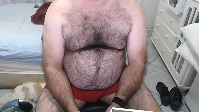 Show de MysterBearMG na webcam