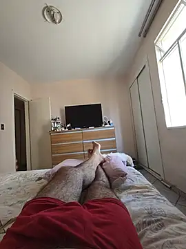 Show de MysterBearMG na webcam