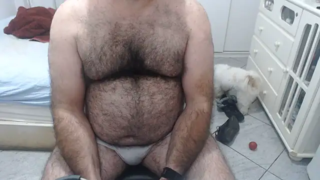 Show de MysterBearMG na webcam