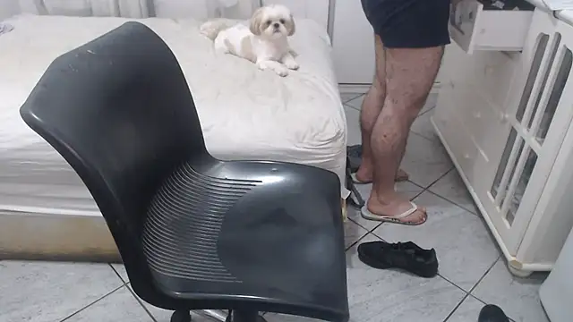 Show de webcam de MysterBearMG