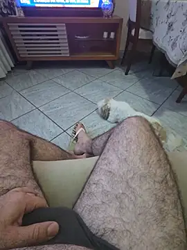 Show de MysterBearMG na webcam