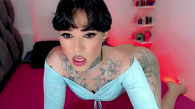 little_star_porn 웹캠 쇼