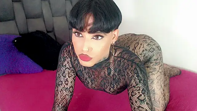 little_star_porn 웹캠 쇼