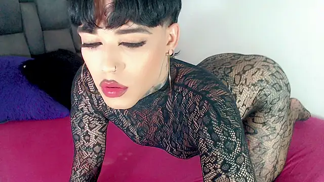 little_star_pornのウェブカメラショー