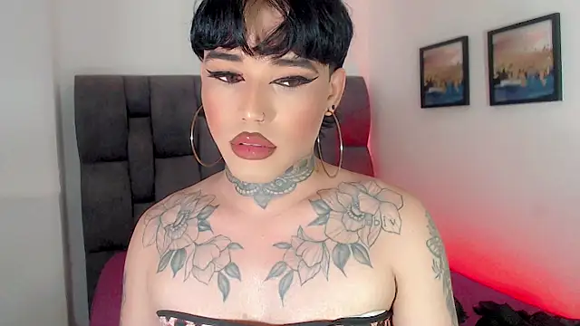 little_star_porn 웹캠 쇼