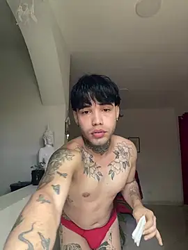 little_star_porn Webcamshow