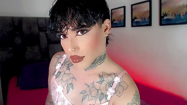 little_star_porn 웹캠 쇼
