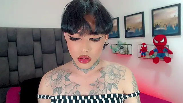 little_star_porn Webcamshow