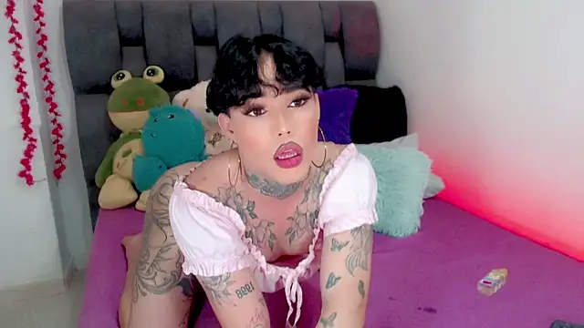 little_star_porn – webcam-show