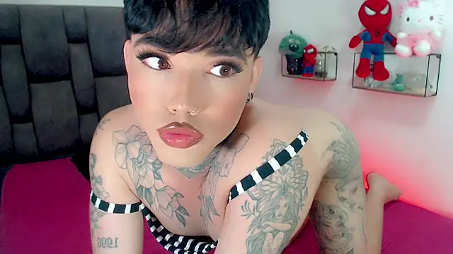 little_star_porn Webcamshow