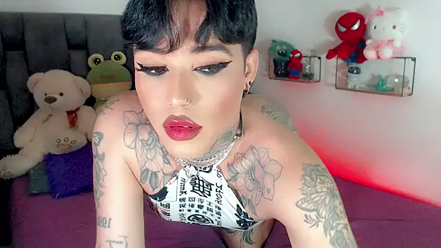 little_star_porn 웹캠 쇼