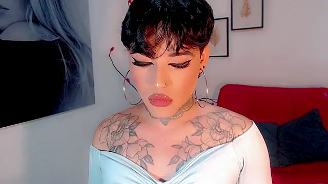 little_star_porn 웹캠 쇼