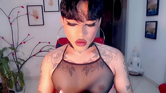 little_star_porn 웹캠 쇼