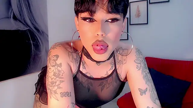 little_star_porn 웹캠 쇼