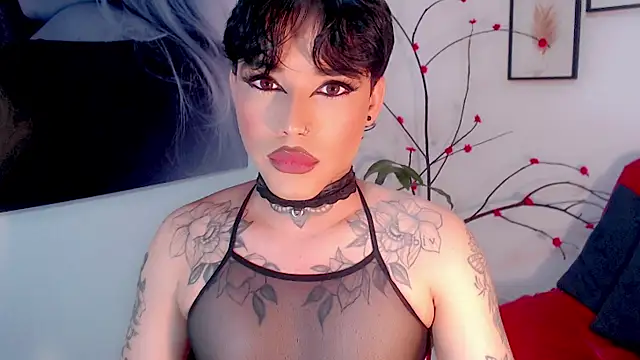 little_star_porn 网络视讯表演