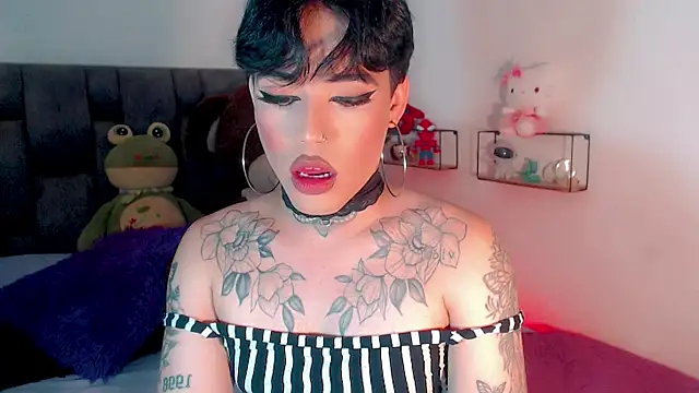 little_star_porn 웹캠 쇼