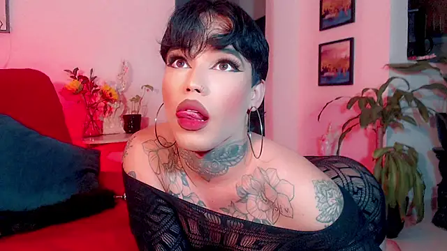 little_star_porn Шоу с уебкамера