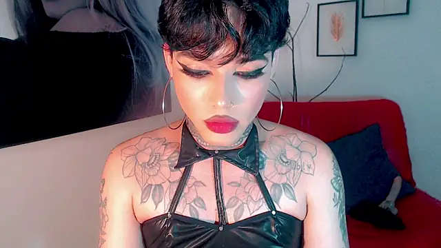little_star_porn 웹캠 쇼