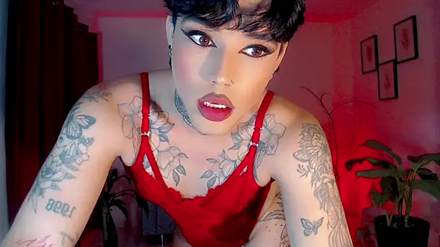 little_star_porn Webcam show