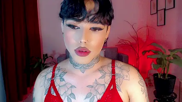 little_star_porn 웹캠 쇼