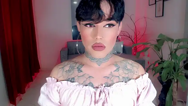 little_star_porn 웹캠 쇼