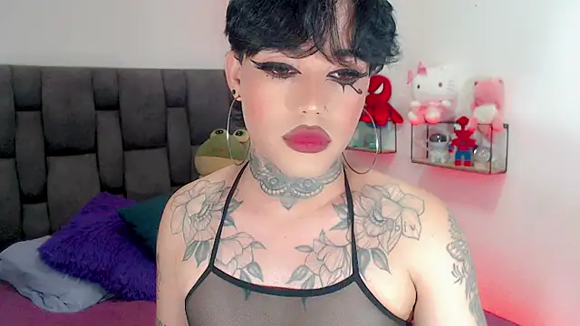 little_star_porn 웹캠 쇼