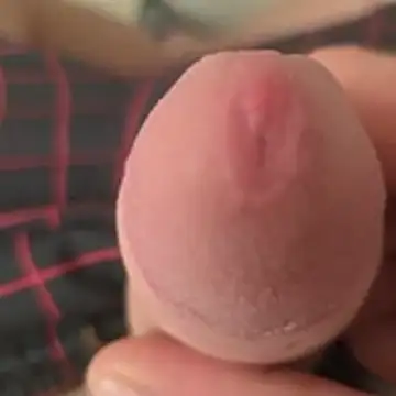 Zauberstab8 Webcam-Show