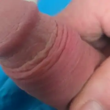 Zauberstab8 লাইভ XXX চ্যাট