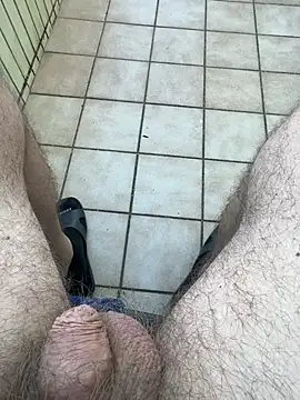 Noitelivren Webbikameraesitys